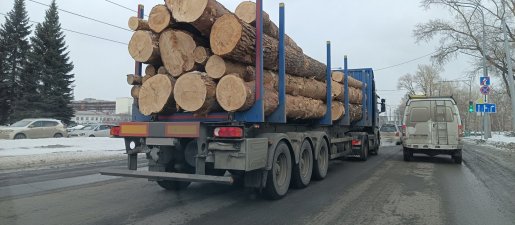 Поиск транспорта для перевозки леса, бревен и кругляка стоимость услуг и где заказать - Новый Уренгой